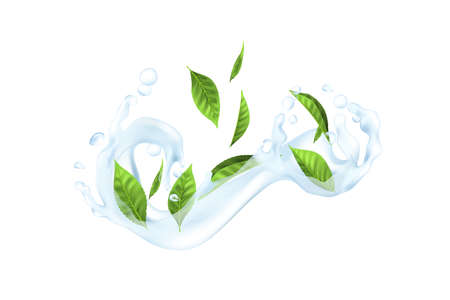 Water and leaf. Realistic parts of green plants in stream of liquid. 3D transparent aqua splash. Drink with floral elements. Process of preparing tea. Vector detailed template for beverage advertisingのイラスト素材