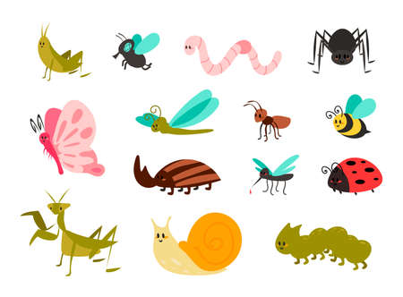 Cute bugs set. Cartoon colorful garden animals for kids illustration, funny children bug, worm and ladybug, little ant, spider and mosquito, butterfly and comic dragonfly, vector isolated collectionのイラスト素材
