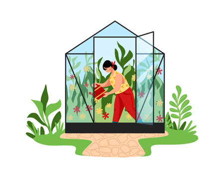 Woman works in garden. Cartoon young female watering plants in greenhouse. Agricultural worker grows natural vegetables in glass hothouse. Cute gardener takes care of flowers. Vector illustrationのイラスト素材