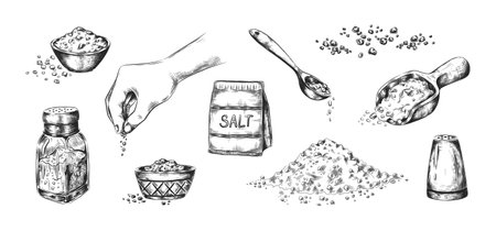 Hand drawn salt. Realistic saltcellar or bowl with salty flavor seasoning. Heaps of powder and scoops with sodium crystals. Tradition ingredient for cooking and conservation food. Vector sketches setのイラスト素材