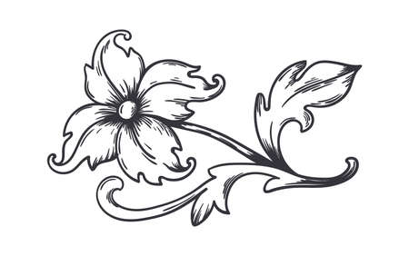Vintage floral border. Baroque decorative ornament. Engraved flower with leaves. Isolated refined blooming branch. Monochrome detailed vignette or calligraphic divider. Vector contour illustrationのイラスト素材