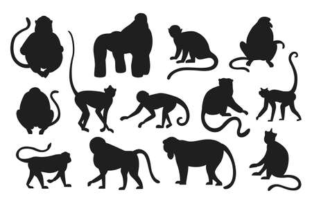 Monkeys silhouette. Hanging and jumping black apes. Various types of primates. Exotic animals set. Exotic rainforest fauna. Contour mammals with tails. Vector templates for zoo logoのイラスト素材