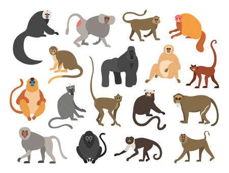 Cartoon primates. Chimpanzee and gorilla monkeys. Wild animals set with tails. Cute apes sit or climb on trees. Tropical gibbon and orangutan. Funny capuchin or macaque. Vector faunaのイラスト素材