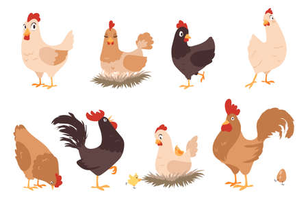 Cartoon chicken. Funny rooster and hen. Farm animal mascots with wings and feathers. Activities of domestic birds. Chicks sitting in nests. Cheerful cocks walking. Vector poultry setのイラスト素材