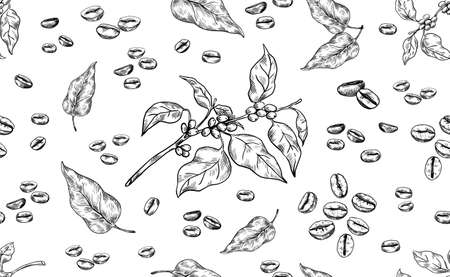 Coffee pattern. Hand drawn seamless texture of Arabica beans. Tree branch and leaves. Roasted aroma seeds. Black and white ingredient for preparation espresso drink. Vector backgroundのイラスト素材
