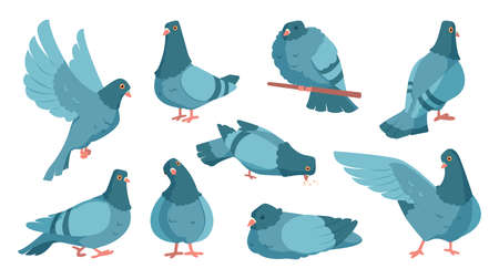 Cartoon pigeon. Cute dove character standing and flying. Flock of gray birds in motions. City wild animal with wings sleeping or eating. Peace and freedom symbol. Vector urban fauna setのイラスト素材