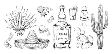 Tequila sketch. Hand drawn Mexican alcohol beverage made of agave with salt and lemon. Engraving alcoholic drink and cactuses. Sombrero and castanets. Vector drawings set for bar menuのイラスト素材
