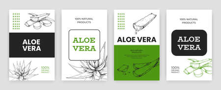 Aloe beauty label. Cosmetics packaging emblem with hand drawn botanical sketches. Organic product container with herbal engraving. Vector advertising package mockup set for brandingのイラスト素材