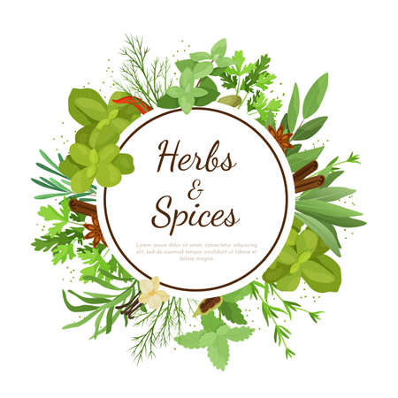 Cooking herbs banner. Cartoon culinary condiment botanical poster with dill and basil. Aromatic bay leaf or oregano. Mint stems. Lavender and tarragon. Herbal spices. Vector illustrationのイラスト素材