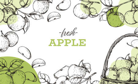 Apple framing. Hand drawn banner with garden green fruits engraving. Natural fresh slices with leaves and seeds. Basket crop. Sketch border. Organic vegetarian food. Vector illustrationのイラスト素材