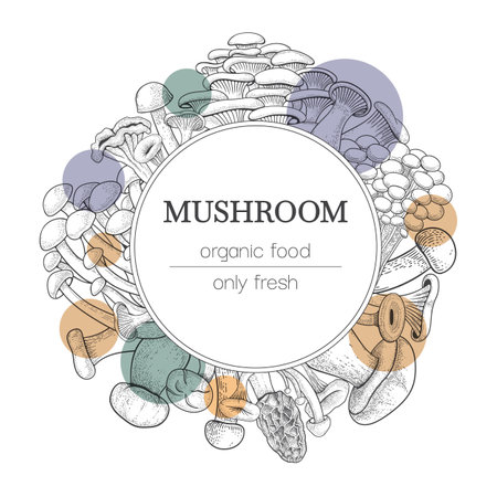 Mushroom background. Vintage botanical food with engraved shiitake, sketch agaric, forest oyster and porcini. Circle decorative frame with copy space. Botanical border vector design templateのイラスト素材