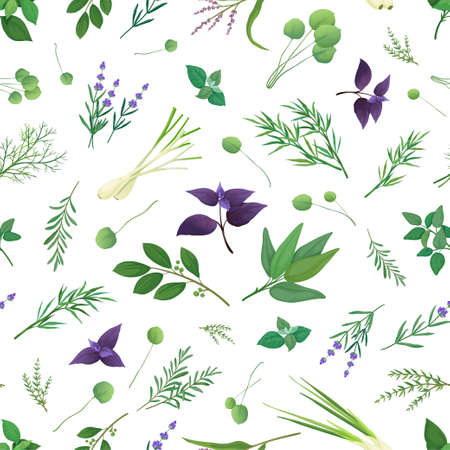 Floral herb pattern. Delicate botanical herbals, elegant blossom decoration and gentle nature plants. Decor kitchen textile, wrapping paper, wallpaper. Vector seamless backgroundのイラスト素材