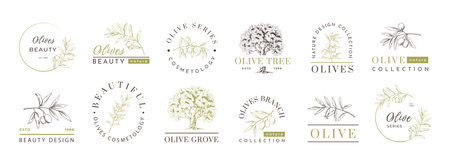 Olive oil logo, premium label elements collection. Green leaves emblem and text, nature packaging, tree product. Hand drawn isolated tree and branches. Healthy food vector design template setのイラスト素材