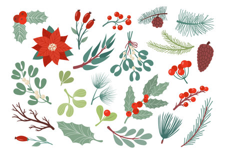 Christmas plant leaves, poinsettia flower, coniferous tree branches. Xmas wreath, botanical floral leaf decor collection, native holiday winter twigs. Vector doodle isolated illustrationのイラスト素材