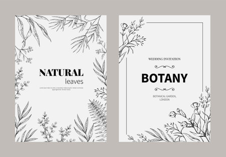 Vintage botanic fern, floral frame. Engraved nature garden, eucalyptus vegetation leaf, wedding invite. Greeting card with herbs stem and meadow petals. Poster template. Vector illustrationのイラスト素材