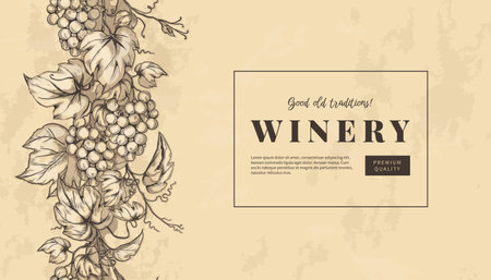 Sketch grape leaves, engraving winery banner. Horizontal bar label, elegant pattern, decorative texture. Poster with copy space. Hand drawn natural berry. Vector design vintage backgroundのイラスト素材