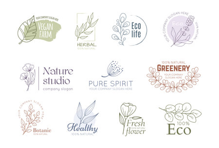 Natural cooking, ecology kitchen logo. Hand drawn products with bio elements, flowers for premium farm logotype design. Emblem and label with outline botanical elements. Vector line imagesのイラスト素材