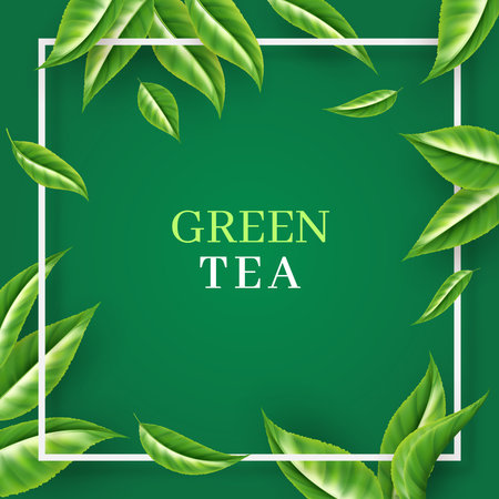 Tea leaves background. Peaceful garden with green leaf, nature plants, beauty bag for drink or food packaging. Advertising backdrop design with 3d isolated elements. Vector isolated square frameのイラスト素材