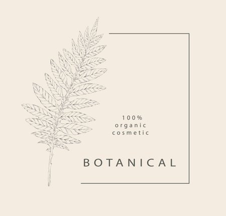 Greeting card and invitation design. Organic cosmetic  . hand drawn fern leaf and frame. vintage rustic greenery background. Elegant outline isolated botanical vector illustrationのイラスト素材