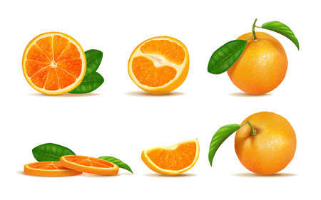 Orange. Whole, half and fruit slices, fresh red citrus food for vitamin juicy smoothie or juice. Mandarin fresh cut pieces and leaves, realistic isolated element. Vector 3d illustrationのイラスト素材