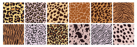 Animal patterns. Leopard and zebra cute prints, wild cat tiger skin seamless texture, jungle cheetah life, fashion cow leather. Textile, wrapping paper, wallpaper or design fabric. Vector setのイラスト素材
