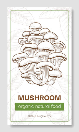Organic natural food. Honey mushrooms poster. Packaging design. Forest vegetable sketch style. Hand drawn botanical cards. Vertical cooking banner. Premium quality vector illustrationのイラスト素材
