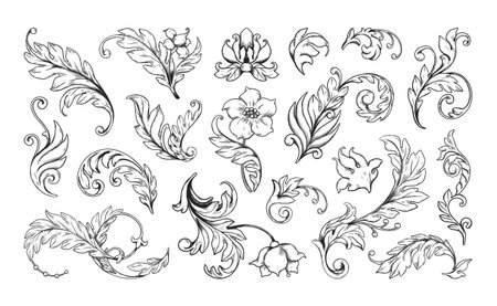 Flower ornaments. Floral frame, filigree pattern isolated elements, border with flourish acanthus. Decorative Victorian engraved motif. Card and posters decorative vector arabesque cornersのイラスト素材