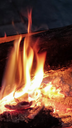POKHARA, NEPAL - JANUARY 7, 2025: Warmth of a bonfire evening in Pokhara, Nepal filled with cozy...