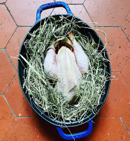 A whole uncooked chicken in the blue plastic basket, in the nestの写真素材
