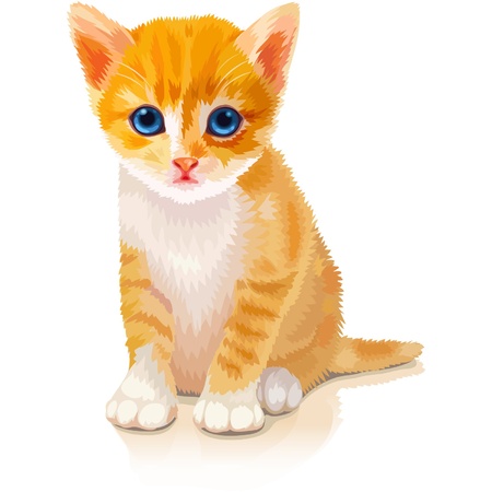 cute orange kittenのイラスト素材