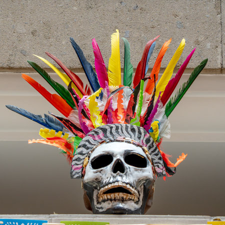 A skull with feathers on top of it. The feathers are in different colors. Day of the Dead...