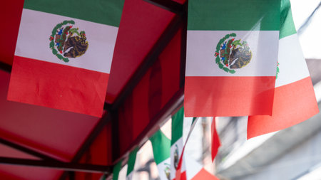 A red, white, and green flag with a black eagle on it. The flag is hanging from a red canopy....