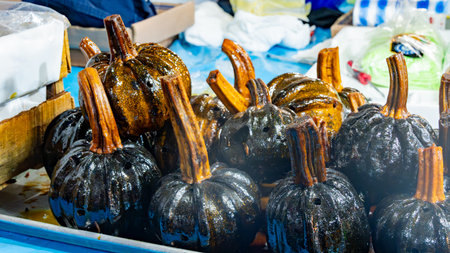 A bunch of black pumpkins are sitting on a table. They are all different sizes and shapes.の写真素材