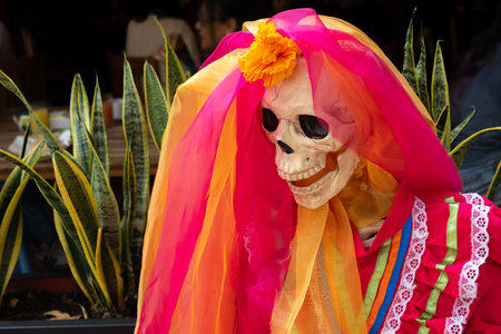 A skeleton is wearing a pink and orange dress with a flower on her head. Mexican Day of the Dead tradition, offerings, food, colors, decorations, and papel picado, La Catrina.の写真素材