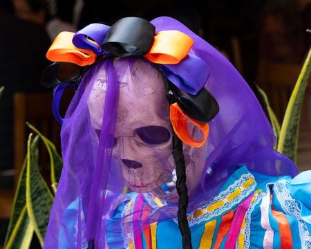 A skeleton is wearing a purple veil with orange and black ribbons. Mexican Day of the Dead tradition, offerings, food, colors, decorations, and papel picado, La Catrina.の写真素材