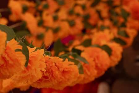 A bunch of orange and green flowers are hanging. The flowers are arranged in a long.の写真素材