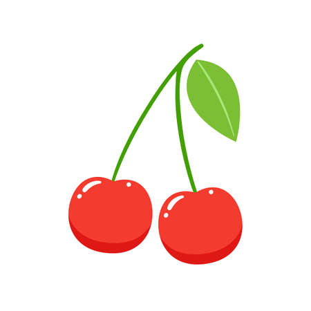 An illustration of cherry fruit. Isolated Vector Illustration