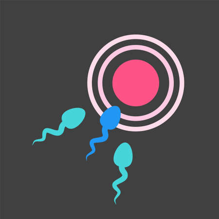 The Sperm is moving toward the Pink Ovum. Isolated Vector Illustrationのイラスト素材