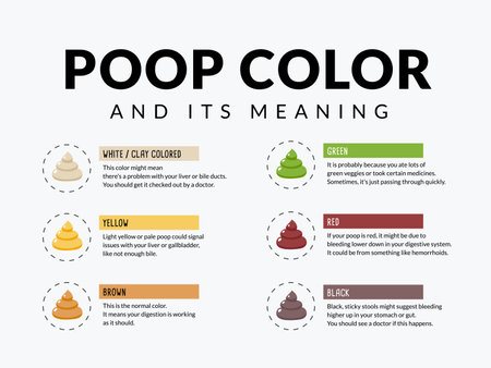 Illustration of Fecal Color with Explanationのイラスト素材