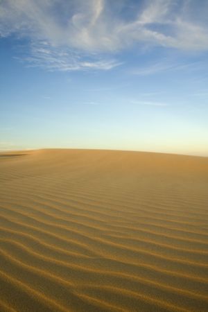Shifting sands in the glow of the afternoon sun