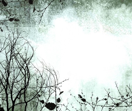 grunge frame with wintry tree silhouettes & subtle lace detailの写真素材
