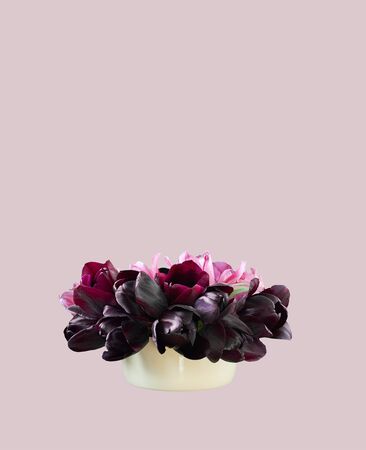 Spring floral tulip design with purple and pink flowers in yelloow vase isolated on background, copy space for your text, closeup, festive mothers or 8 march day concept, verticalの写真素材
