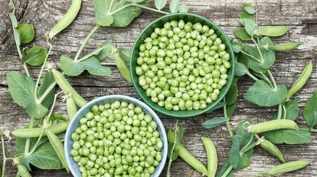 Peas in bowls with fresh cut plant leaf nearby and bean pods on wooden rustic textured background, closeup, flat lay, from above overhead top view, vegan food and healthy organic food conceptの写真素材