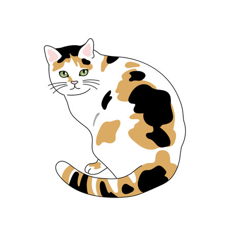One cute cat sitting Illustration
Animal, Calico Catのイラスト素材