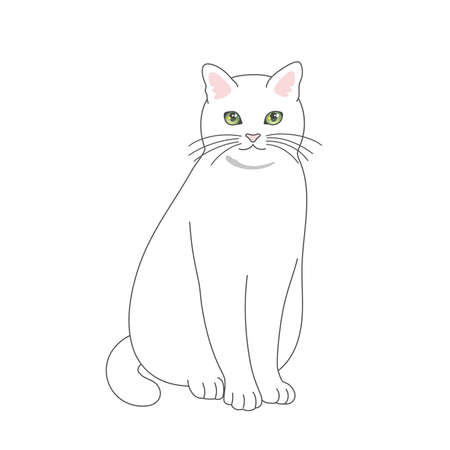 Real touch illustration of a sitting white cat