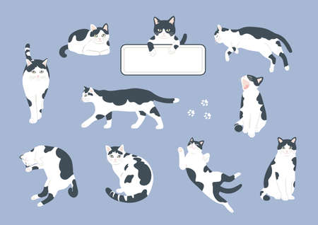 Black and white cat illustration setのイラスト素材