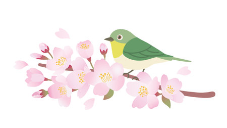 Illustration of a whitetail perched on a cherry tree branchのイラスト素材