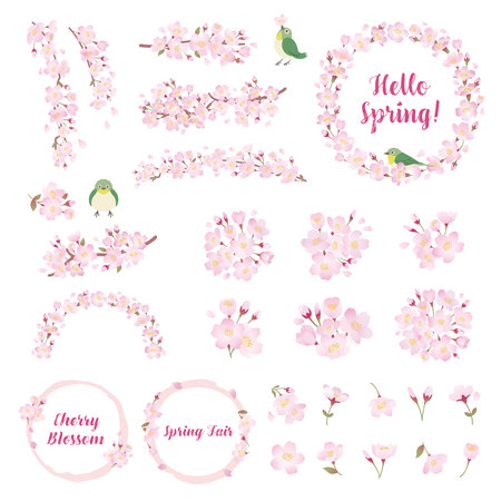 Cherry blossom illustration set, one point, decoration, design partsのイラスト素材