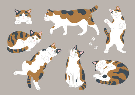 Illustration of different poses of cute cats Variations of calico catsのイラスト素材