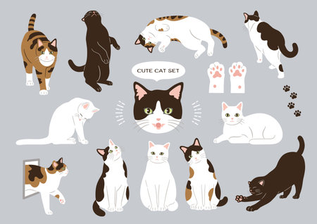 Cat illustration material setのイラスト素材